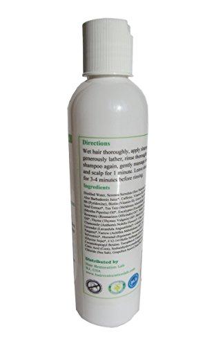 Aquagaine Aquagaine Premium Hair Loss Prevention/Restoration Shampoo with Organic Rosemary & Lavender Oil, Natural DHT Blockers and Biotin for Hair Growth – Sulfate Free, For Men & Women, 8 OZ