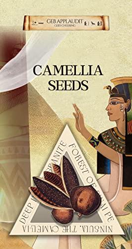 BUNNY DULCEA BUNNY DULCEA Castor Oil Scalp Rejuvenating Shampoo Deeply Cleanse Scalp Reduce Hair Loss Active Substance of Natural Keratin Repairs Hair Barrier Strengthens the Roots and Strands