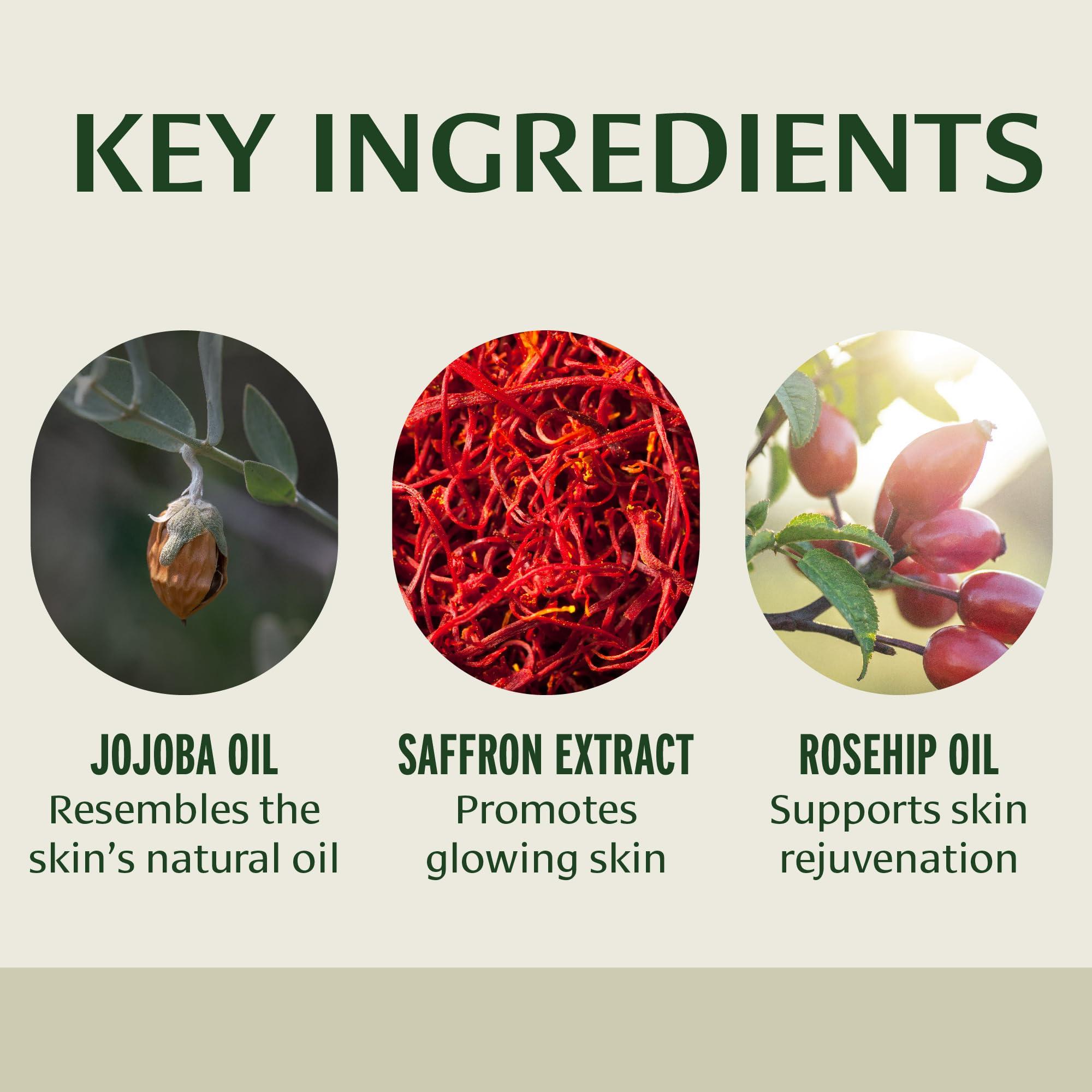 Banyan Botanicals Banyan Botanicals Body Oil Lightweight & Non-Greasy Body Oil Ayurvedic Skin Care with Organic Jojoba Oil & Herbs for Soft, Smooth Skin 4 oz Non-GMO, Cruelty Free, Paraben Free Massage Oil