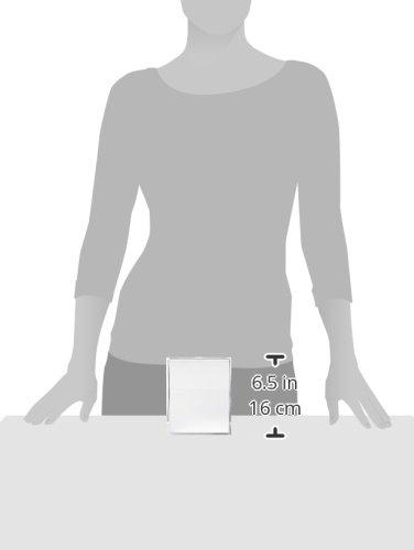 Zadro Zadro 2x Mag Z Fogless Shower Mirror with Suction Cup, 5.5-Inch