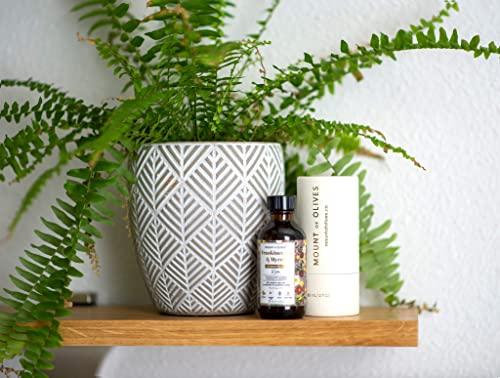 Mount of Olives Mount of Olives The Anointing Oil (Gethsemane - The Anointing Oil, 30 mL / 1 fl oz) With Cosmeceuticals Derived from Biblical Botanicals