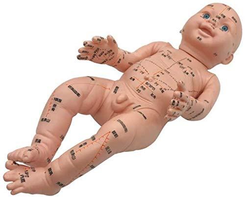 ZHONGJIUYUAN ZHONGJIUYUAN Acupoint and Trigger Point Babies Mannequin children Model 20inch Child Massage Study