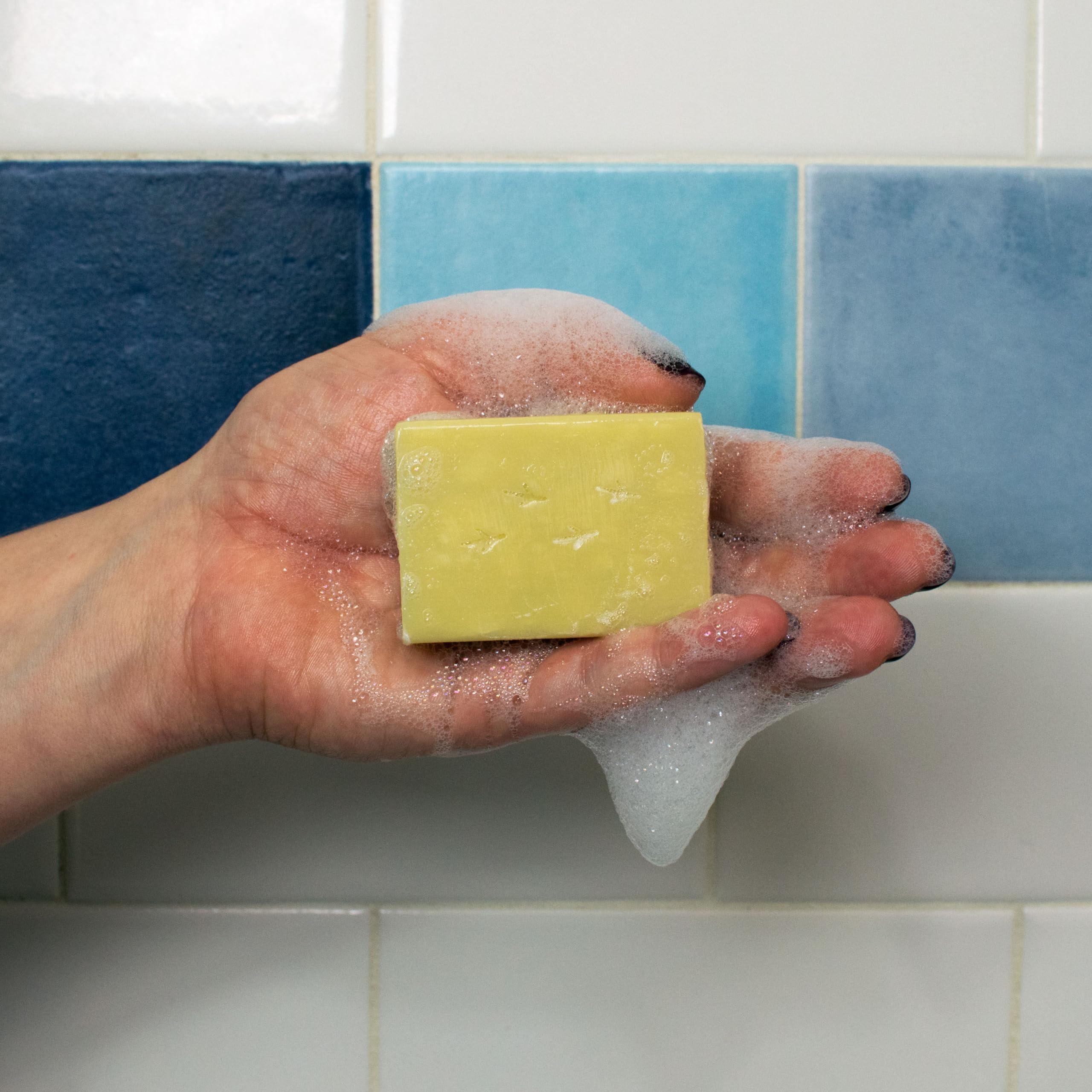 The Unemployed Philosophers Guild The Unemployed Philosophers Guild Bird Bath Soap - Made in The USA, 2oz (56g) Travel Sized Guest Bar