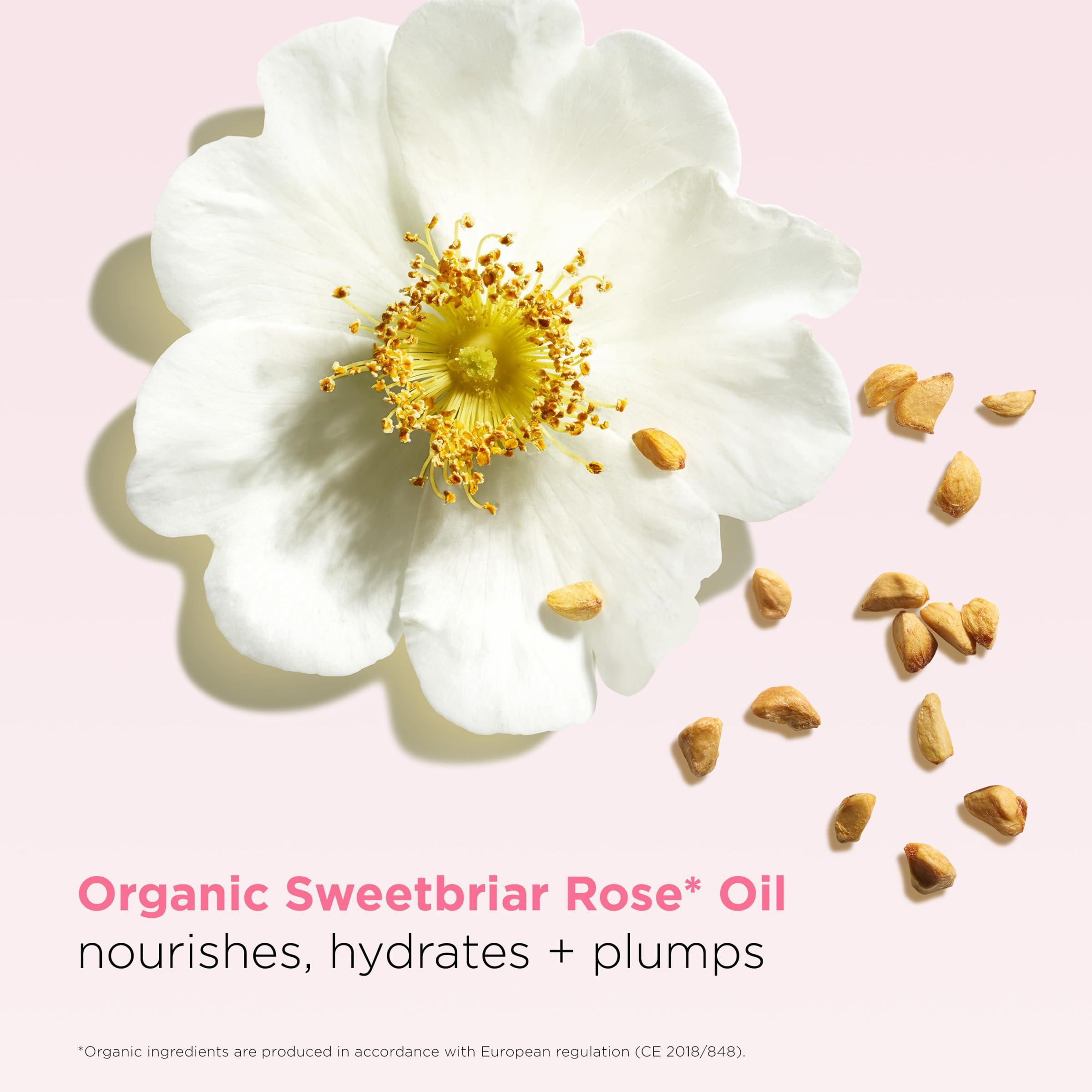 Clarins Clarins NEW Lip Oil Balm | Nourishes, Hydrates, and Visibly Plumps | Natural, Sheer Finish and Shine | 99% Skincare Formula and 96% Natural Ingredients | Contains Hydrating Peptide | 0.1 Ounce