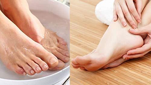 GNR Threesome Ridge Ground Fiber Natural Loofah, 4 Pieces Family Pack