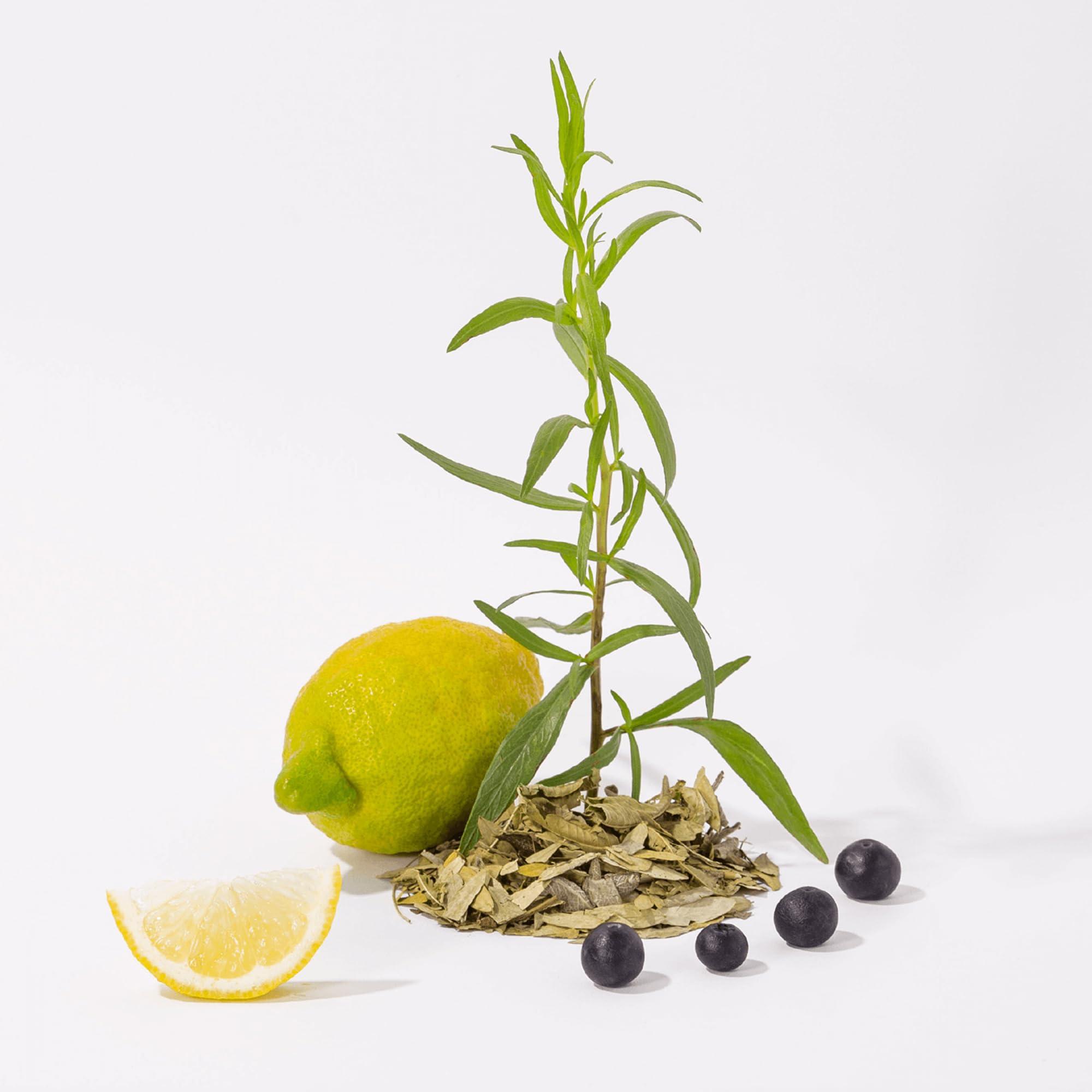 La Compagnie de Provence Compagnie de Provence Savon de Marseille Extra Pure Liquid Soap, White Tea, 101.4 Fl Oz Eco Refill