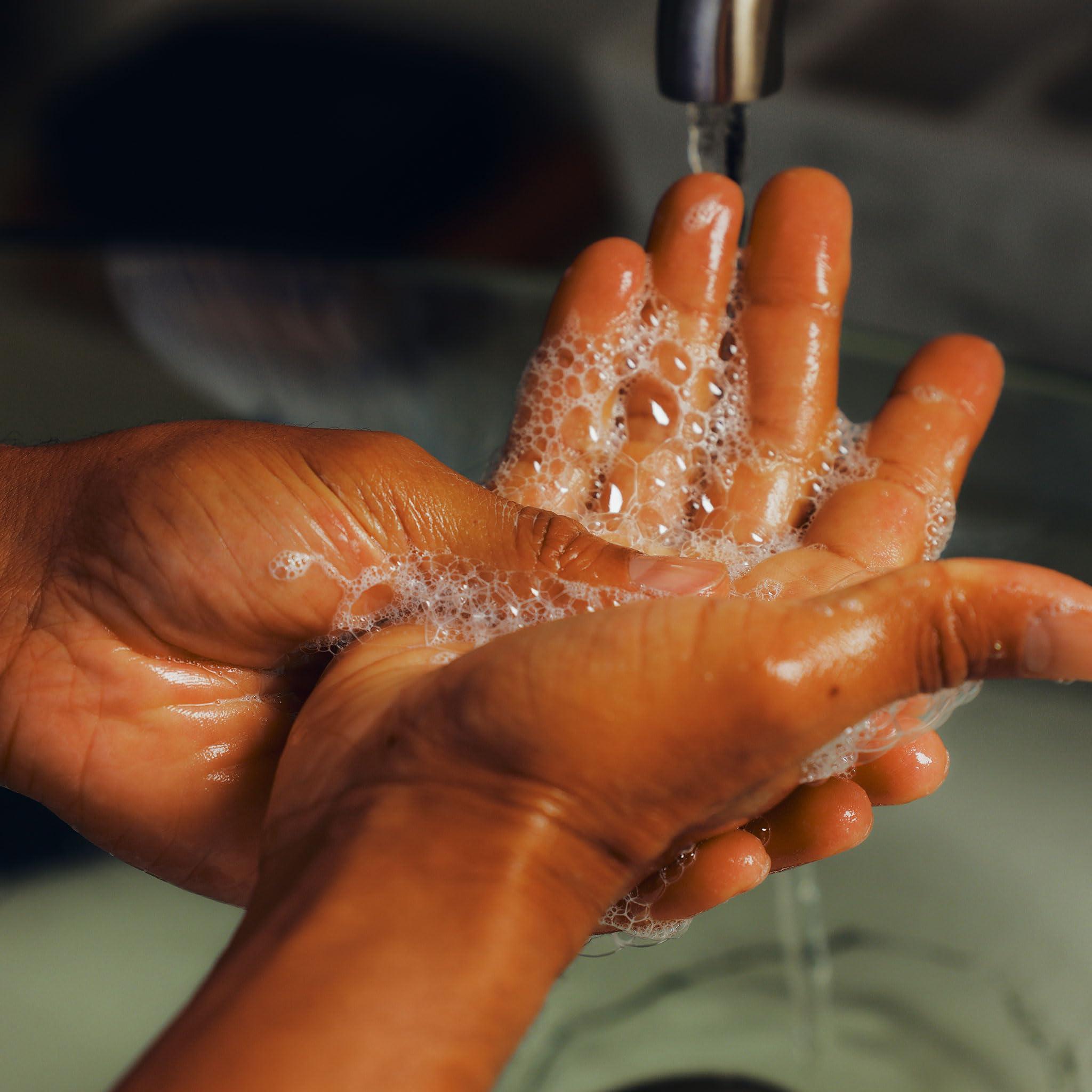 Oars + Alps Oars + Alps Hydrating Liquid Hand Soap, Made with Coconut Oil & Aloe Vera to Moisturize Dry Hands, Gentle Hand Wash with Vitamin E, California Coast Scent, 10 Fl. Oz Bottle (Pack of 2)