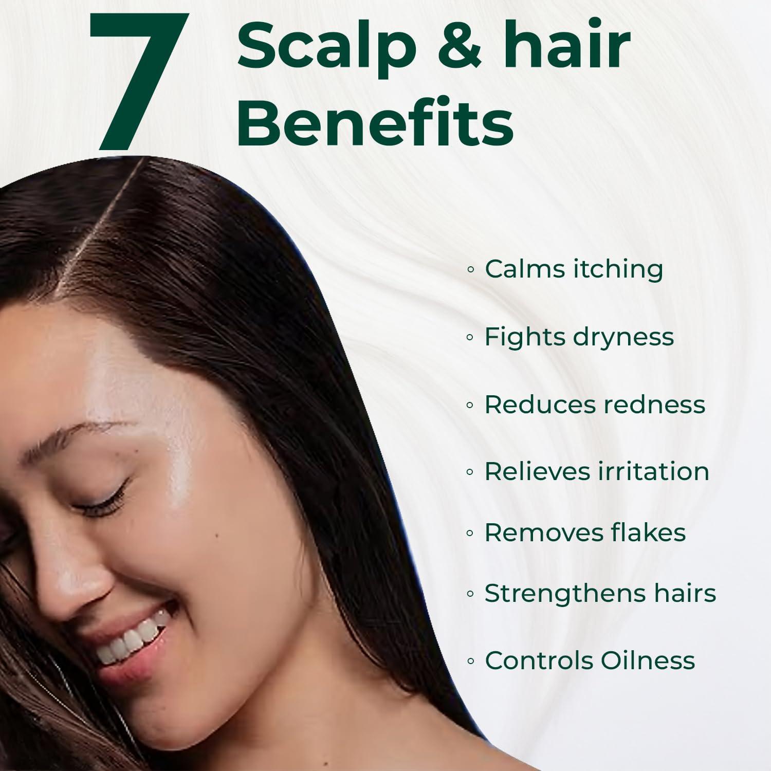 The Organic Forest  VEGAN . PURE . NATURAL Organic Anti Dandruff Shampoo and Conditioner Set | Infused with Apple Cider Vinegar, Tea Tree Oil & Shea Butter | Sulfate-Free, Hydrating, Frizz Control | Curly Hair, Men & Women, Natural Ingredients