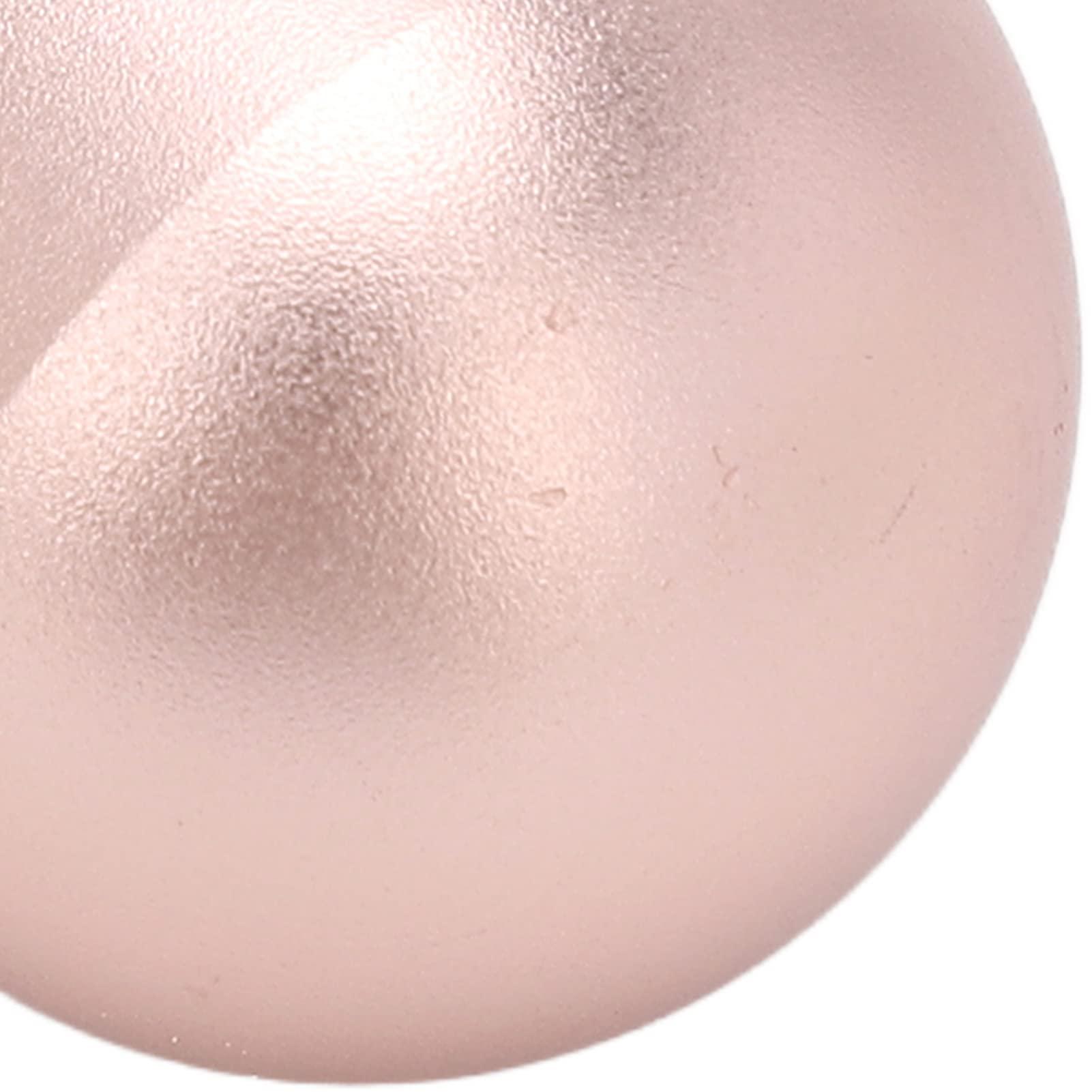 Dioche Oil Absorbing Volcanic Roller, Face Roller Portable Reusable Oil Control Facial Care Tool for Oily Skin Face Makeup