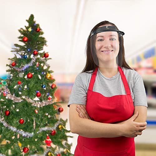 Pac-Dent Pac-Dent iVisor Plus Reusable Face Shield Kit, Full Face Protective Shield with Anti-Fog Coating and Cinch Cord, Adjustable to Comfortably Fit All Head Sizes, Teal