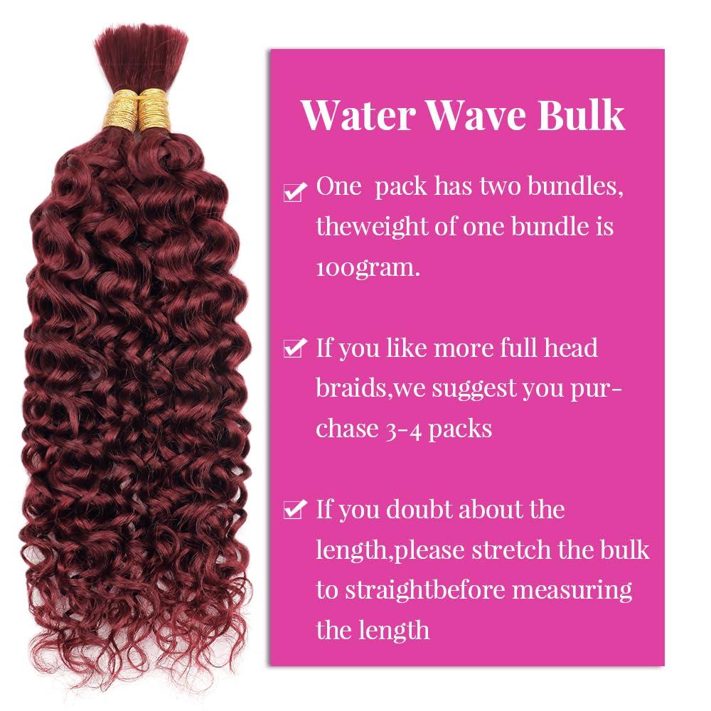 Ainmeys Water Wave Bulk Human Hair for Braiding #99j No Weft Curly Human Braiding Hair Wet and Wavy 100% Unprocessed Brazilian Virgin Human Hair for Boho Braids Wet and Wavy 2 Bundles/Pack (22inch 100g)