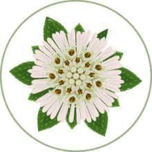 Generic Original Adiwasi Hair Growth Oil 200 ML Ayurvedic Adiwasi Herbal Kesh tel with Natural Rosemary essential & Biotin for Control Hairfall anti-dandruff PACK OF - 2, Clear