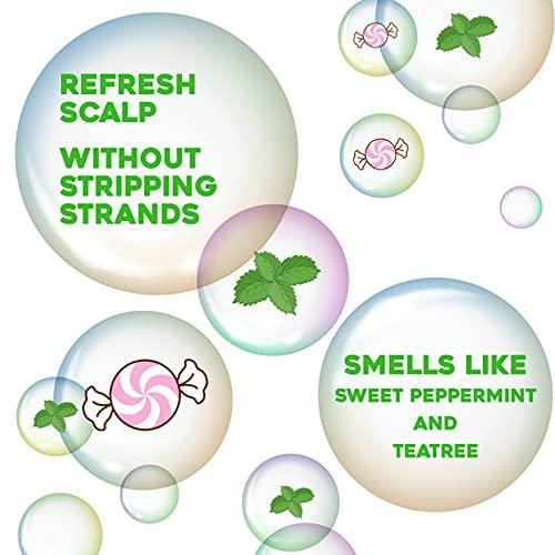 OGX OGX Extra Strength Refreshing Scalp + Teatree Mint Shampoo, Invigorating Scalp Shampoo &Conditioner with Tea Tree & Peppermint Oil & Witch Hazel, Paraben-Free, Sulfate-Free Surfactants, 25.4 Fl Oz