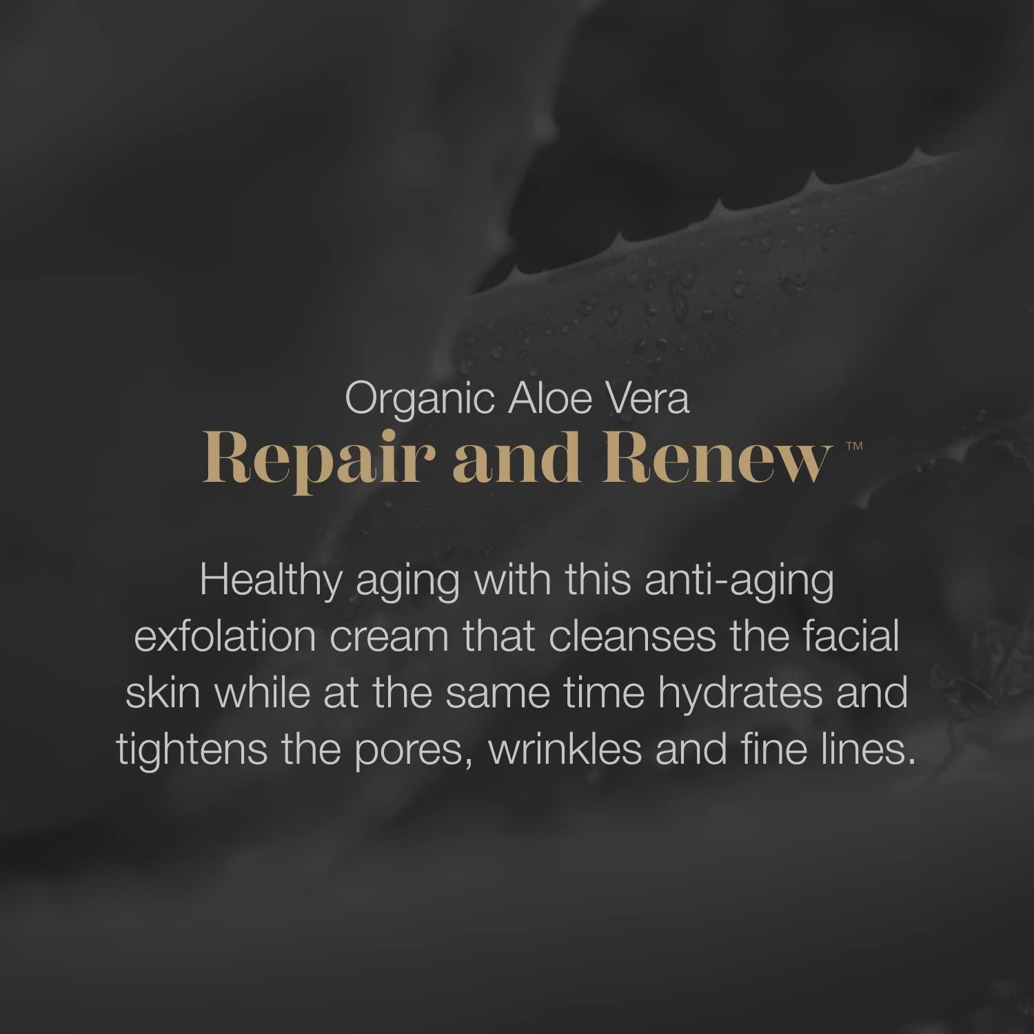 Sanguine Professional Barber Shears, Hairdressing Scissors - 6 inch (15.2cm), Black + Presentation Case & Tip Protector