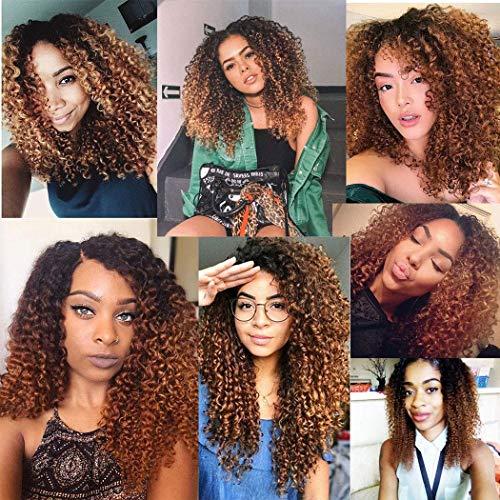 Annora Kinky Curly Bundles with Closure Two-tone Brown T1B/30 3 Bundles with 4x4 Lace ClosureHuman Hair Human Hair Grade 8A Soft 100% Brazilian Hair Extension (18"20"22"+16"Closure) Inch