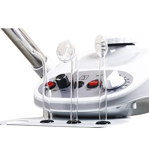 Beauty Style Beauty Style Facial Steamer Salon Spa Equipment 5X Magnifying Lamp & High Frequency Beauty Kit for Skin Care