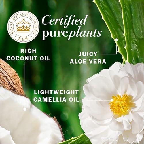 Herbal Essences Herbal Essences Biorenew Coconut Milk Hydrate Shampoo, 13.5 Fl Oz,Pack of 6