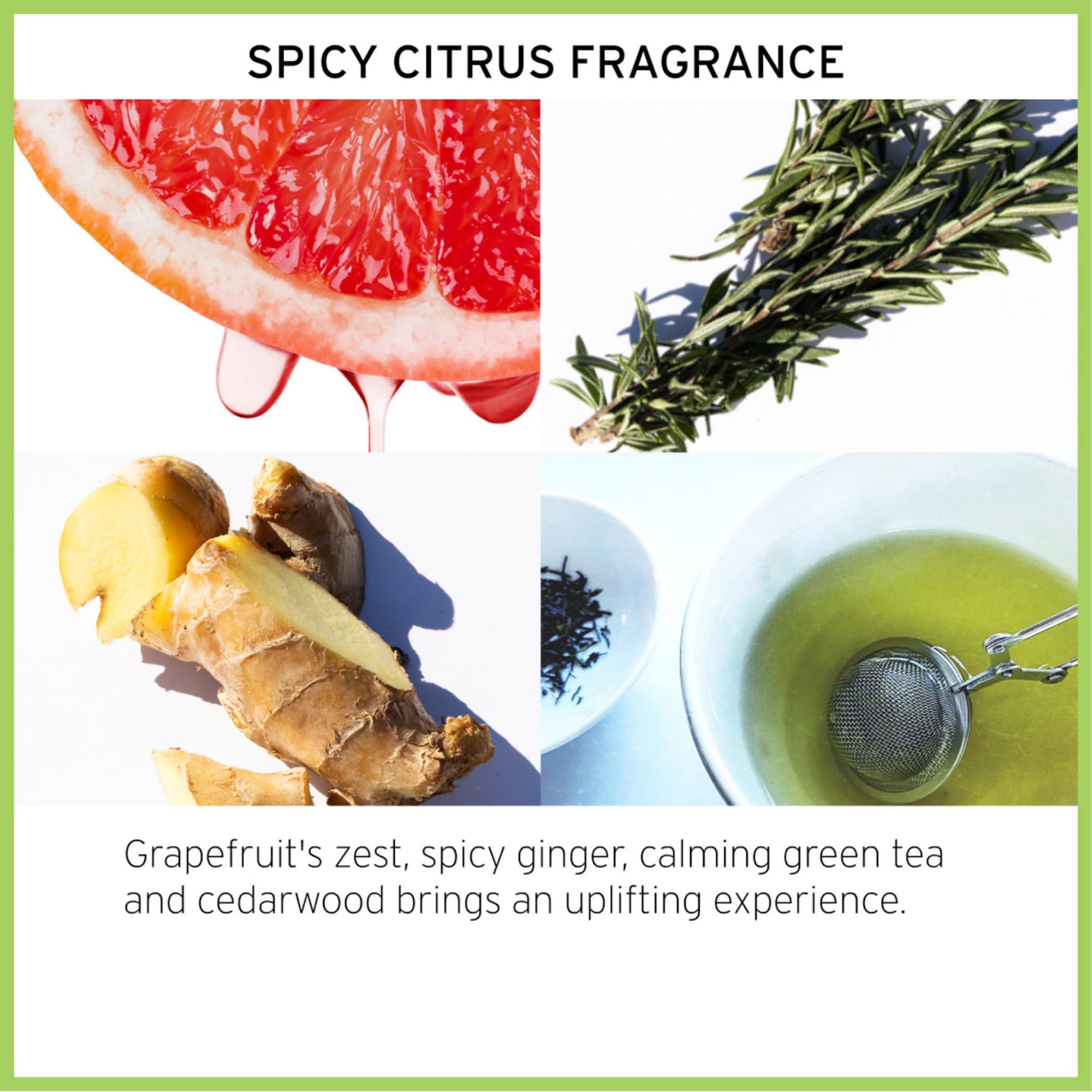 Fekkai Fekkai The Original Brilliant Glossing Styling Creme - 3.4 oz - Boosts Shine, Smoothes Frizz & Defines Curls with Olive Oil - Free of Sulfates, Parabens, Phthalates - Vegan, Cruelty-Free