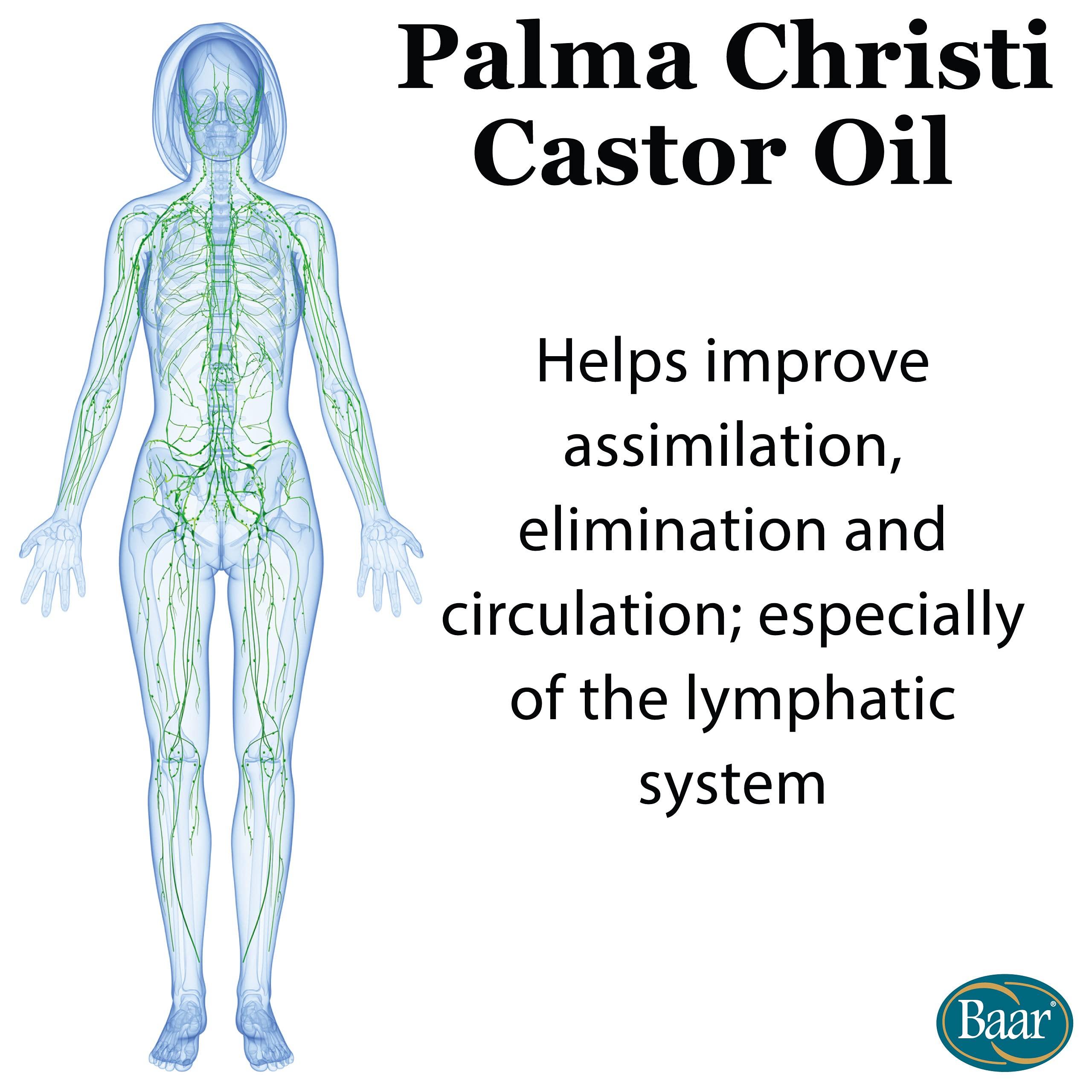 Baar Baar Castor Oil Packs Kit: Heating Pad with Auto Shut Off; Cold Pressed, Cold Processed, Hexane Free, Palma Christi Castor Oil; Reusable, Unbleached Wool Flannel Cloth; & Disposable Castor Oil Packs