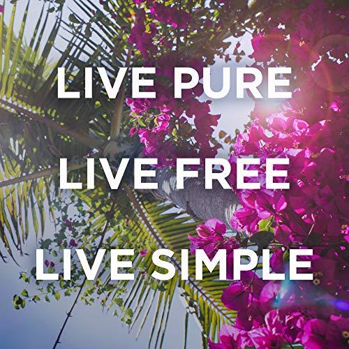 Petal Fresh Petal Fresh Pure Clarifying Mandarin & Mango Body Butter, Organic Coconut Oil, Argan Oil, Shea Butter, Purifying and Toning, For All Skin Tupes, Natural Ingredients, Vegan and Cruelty Free, 8 oz