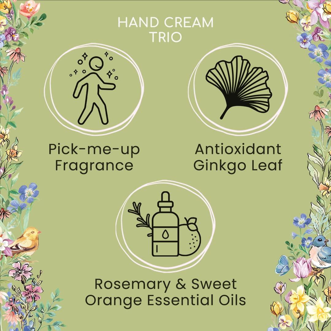 Heathcote & Ivory Heathcote & Ivory Lavender Fields Hand Cream Collection, 3 x 30ml Hand Cream