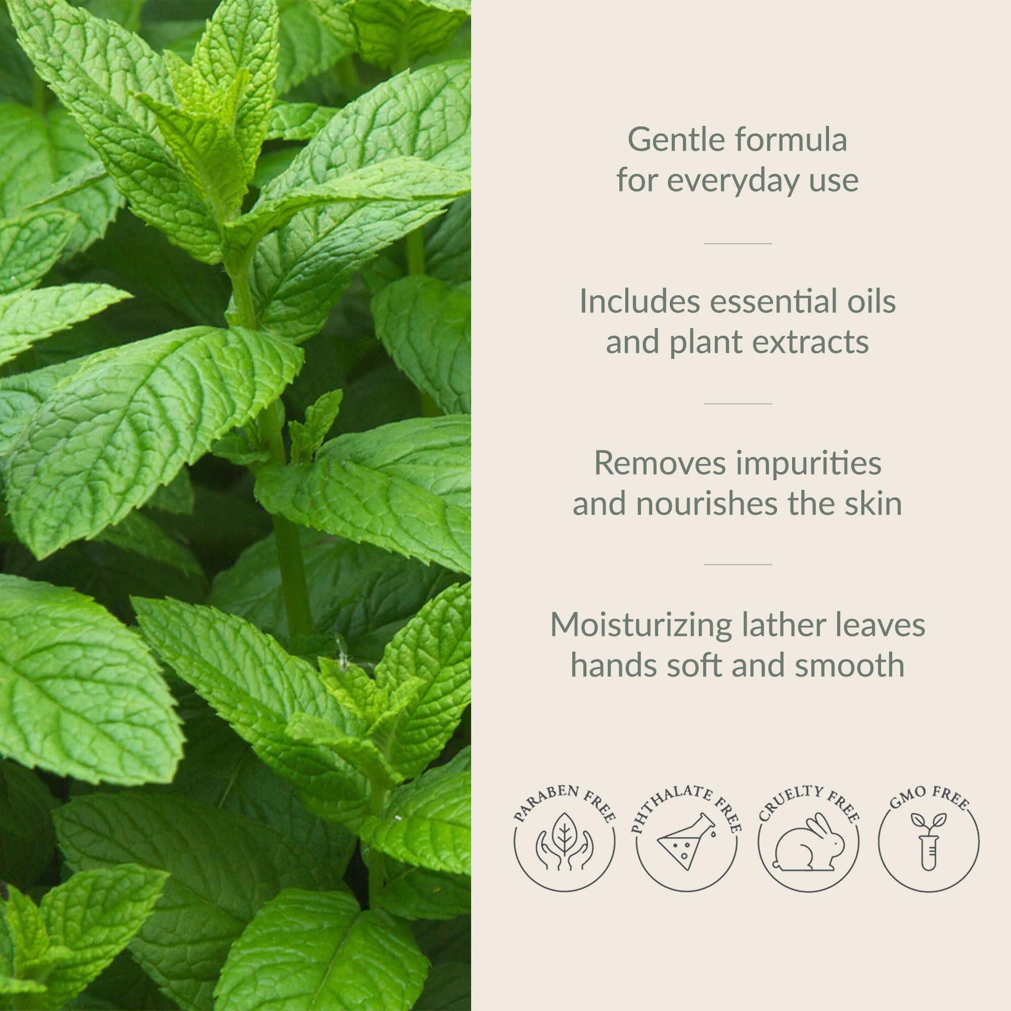 Archipelago Botanicals Archipelago Botanicals Morning Mint Glass Bottle Hand Wash, Liquid Hand Soap for Kitchen or Bathroom, Moisturizing Hand Wash with Pump, 14.5 fl oz