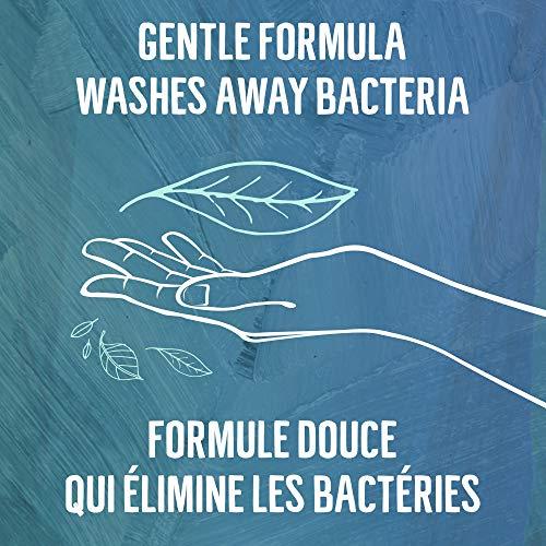 Seventh Generation Seventh Generation Hand Wash, Free and Clear, 12 Ounce