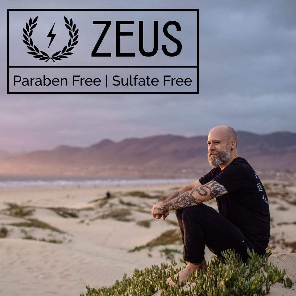 ZEUS ZEUS Starter Beard Wash Kit with Travel Toiletry Dopp Bag - Beard Wash Shampoo & Conditioner, Beard Brush & Travel Toiletry Bag (Verbena Lime)