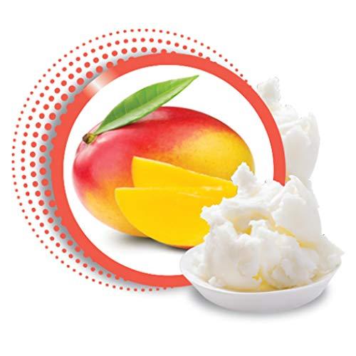 Broadway Broadway Vita-Lip Clear Lip Gloss 0.47oz/14ml (3PCS - Mango Butter)