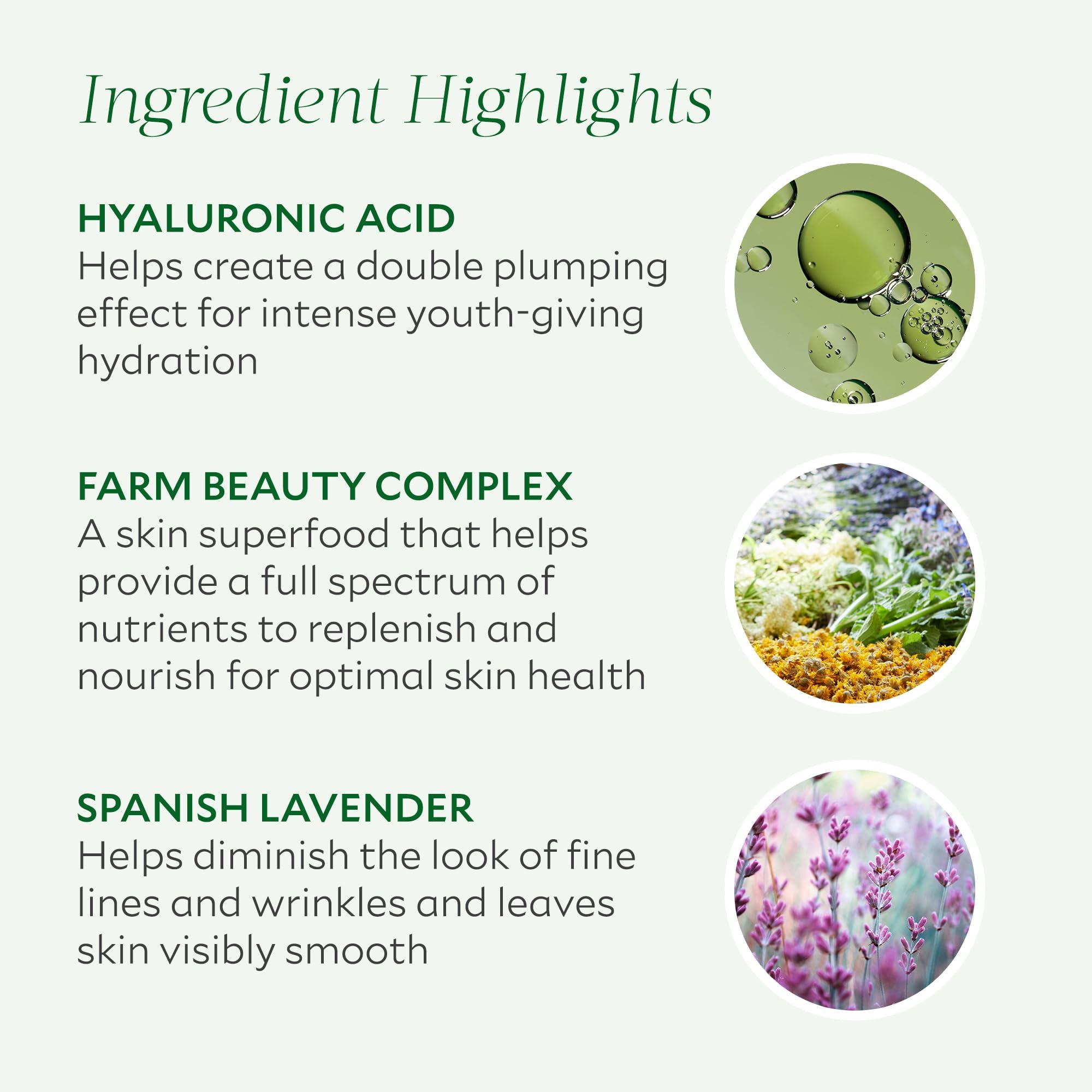 Tata Harper Tata Harper Repairative Moisturizer, Daily Lightweight Moisturizer for Dewy Skin, Made in USA, 50ml