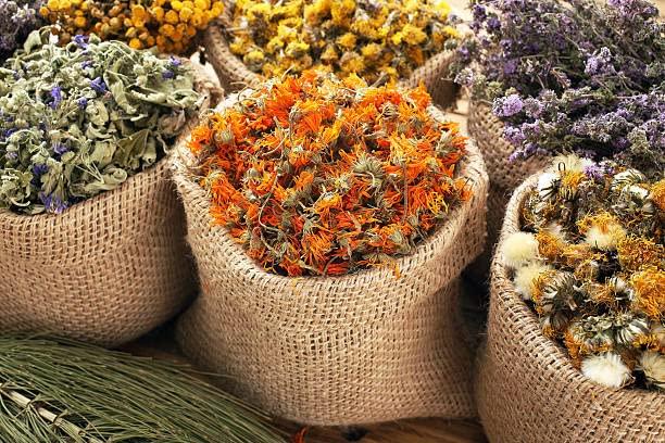 Earth Elements Organics Earth Elements Organics Organic Witch Hazel Oil Raw, Infused, Pressed Herbal Oil Witch Hazel,Sunflower Seed Oil Astringent, Moisturizer, Hydration 8 fl.oz.