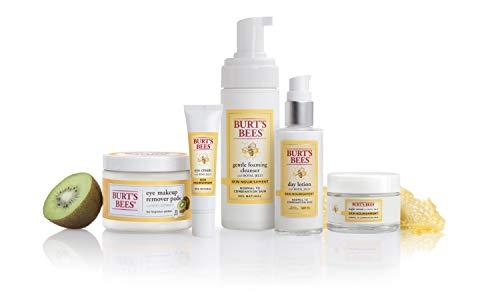 Burt's Bees Burt's Bees Skin Nourishment Day Lotion with SPF 15 for Normal to Combination Skin, 2 Oz (Package May Vary)