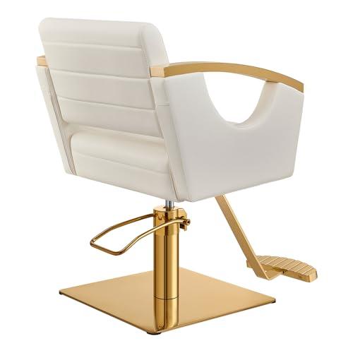 Dir Dir Salon Styling Chair Hair Salon Stylist Chair w/Gold Frame Bello