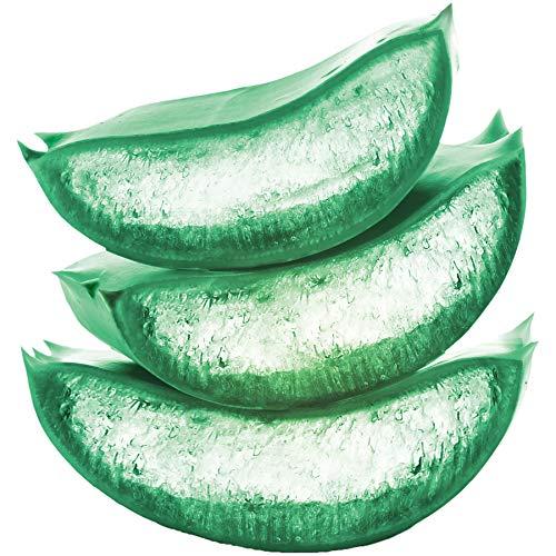 Garnier Garnier Hair Care Fructis Pure Clean Shampoo, 12.5 Fl Oz, 2 Count