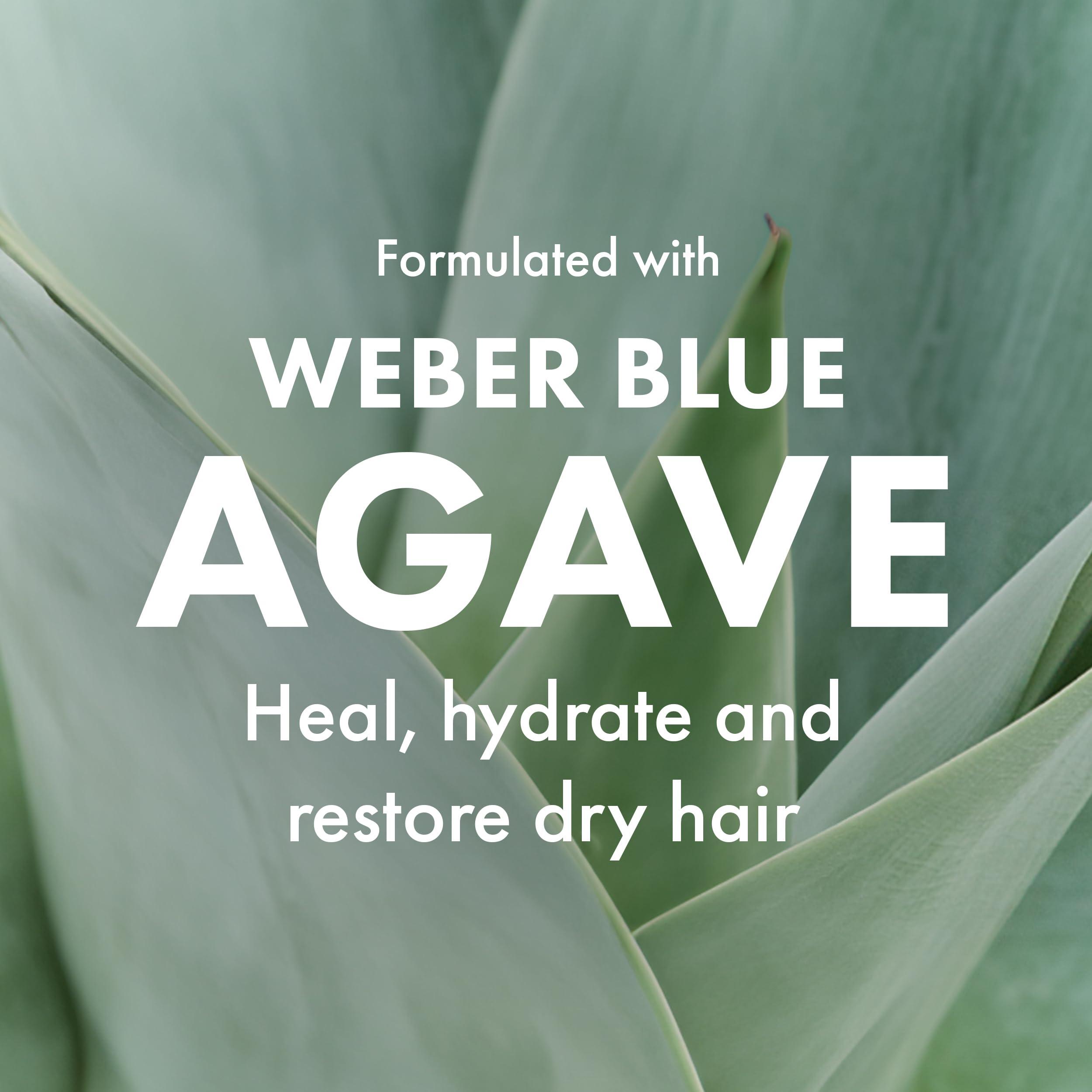 Agave HEALING OIL Agave Healing Oil Treatment Hydrating & Smoothing Hair Oil for Frizz Control & Shine 3.75 fl oz