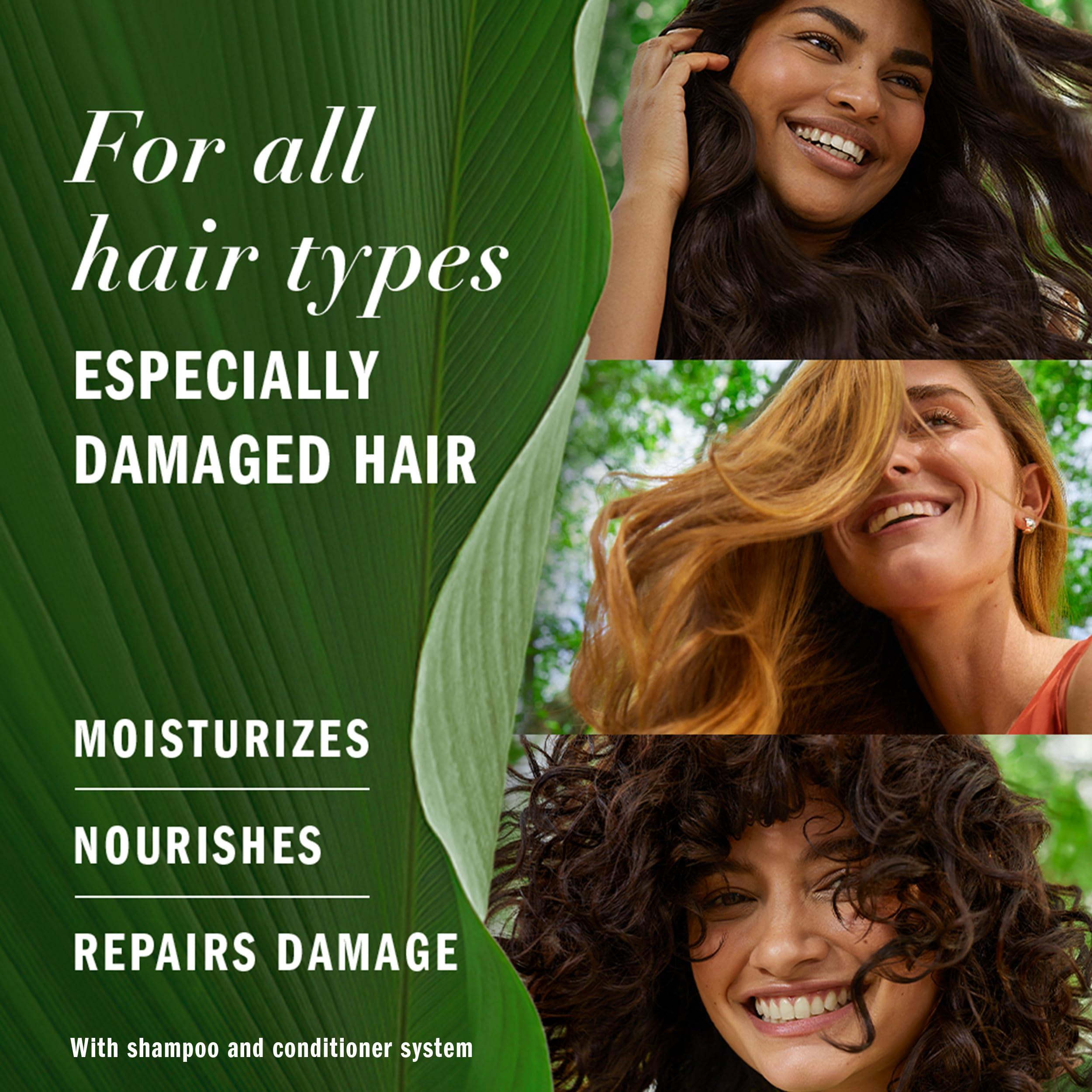 Herbal Essences Herbal Essences Brand, Hair Repair Shampoo and Conditioner Set, Argan and Camellia Oil, Paraben Free, For All Hair Types, 27 Fl Oz (Dual Pack)