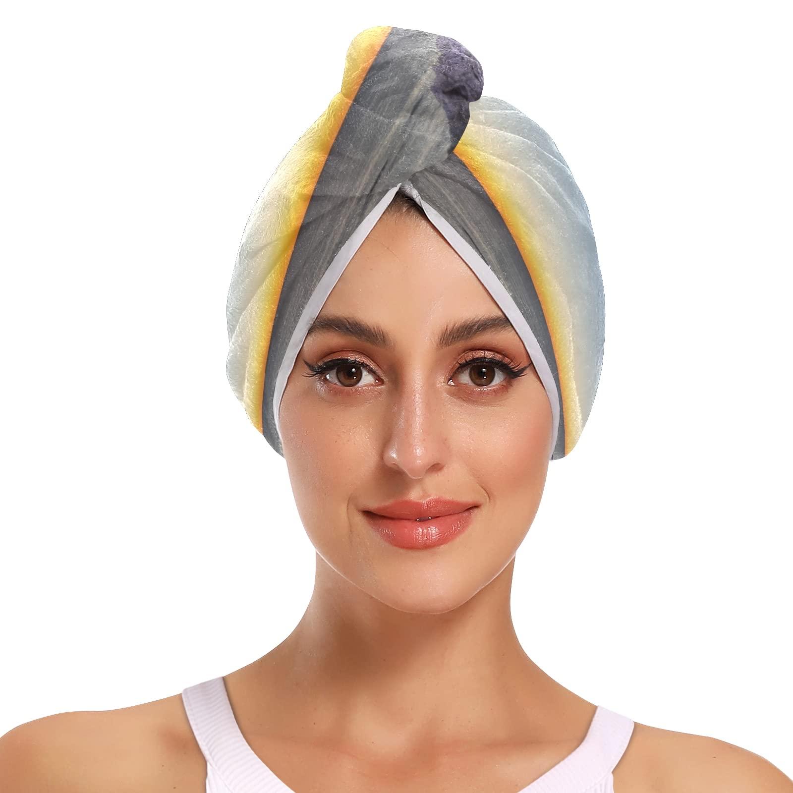 Poeticcity Portland, Maine, USA at Portland Head Light in the Morning 2 Packs Hair Towel Wrap, Absorbent Turban Bath Hair Towel Hat, Quick Drying Hair Towel with Button for Curly, Long, Thick Hair