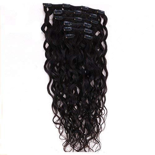 EIAKE Natural Curly Clip in Human Hair Extensions for Black Women Natural Wave Real Human Remy Hair Clip in Extension for African American Natural Hair Extensions Clip ins (16inch, 1 NaturalWave)