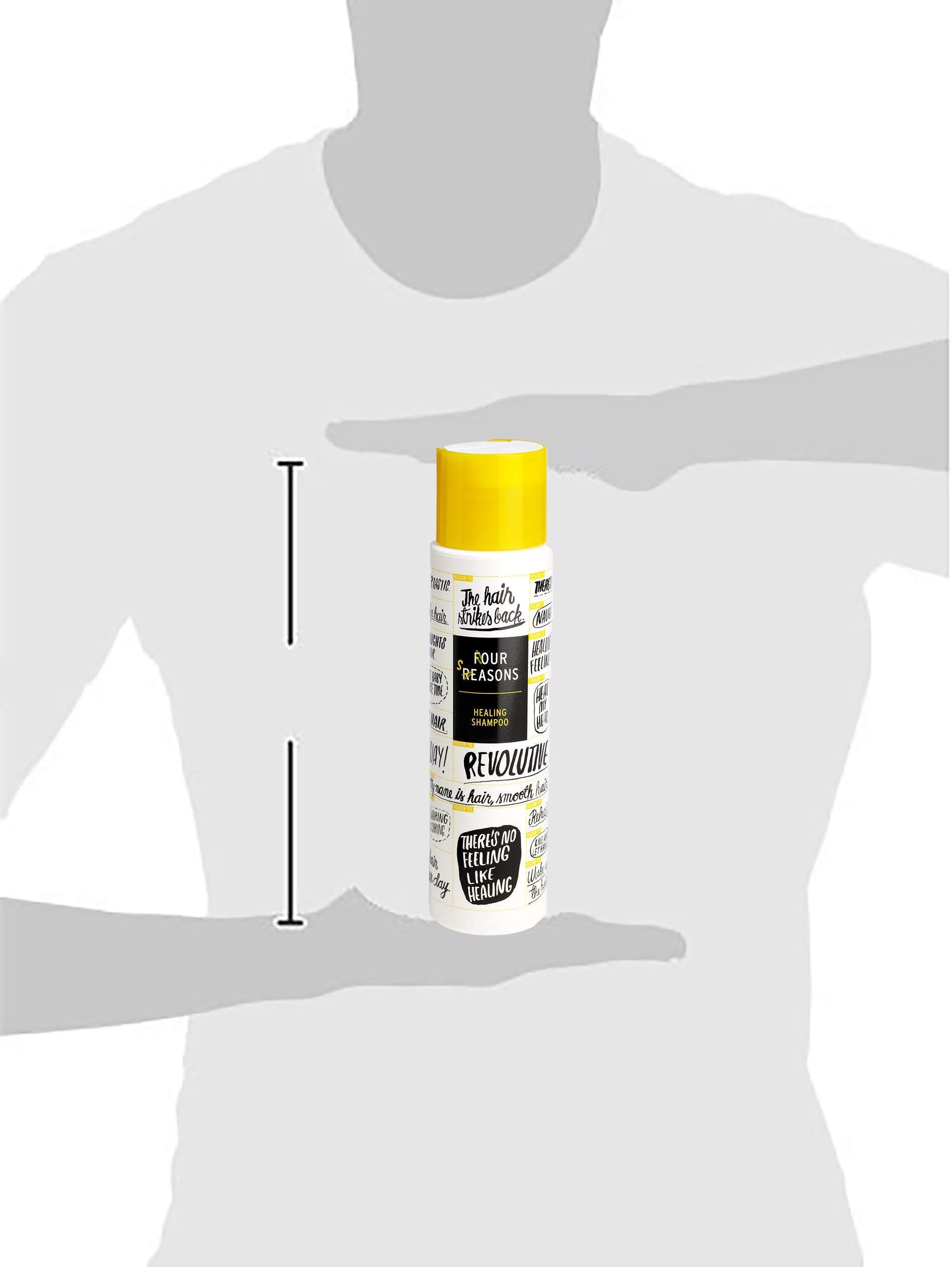 FOUR REASONS FOUR REASONS Healing Shampoo - Cooling and Soothing Shampoo for Irritated Scalp, Shampoo for Itchy Scalp, Anti-Dandruff Shampoo, vegan, 10.5 fl oz