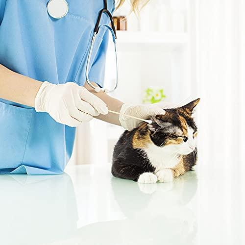 kangbaobei 200PCS Cotten Swab Applicators, 6 Inch Long Wooden Cotton Swabs - Cleaning Gun Sterile Medical Q Sticks Tips Applicator With Wood Handle - Makeup & Ear Cleaner Remover Tools - For Ceramics, Jewelry