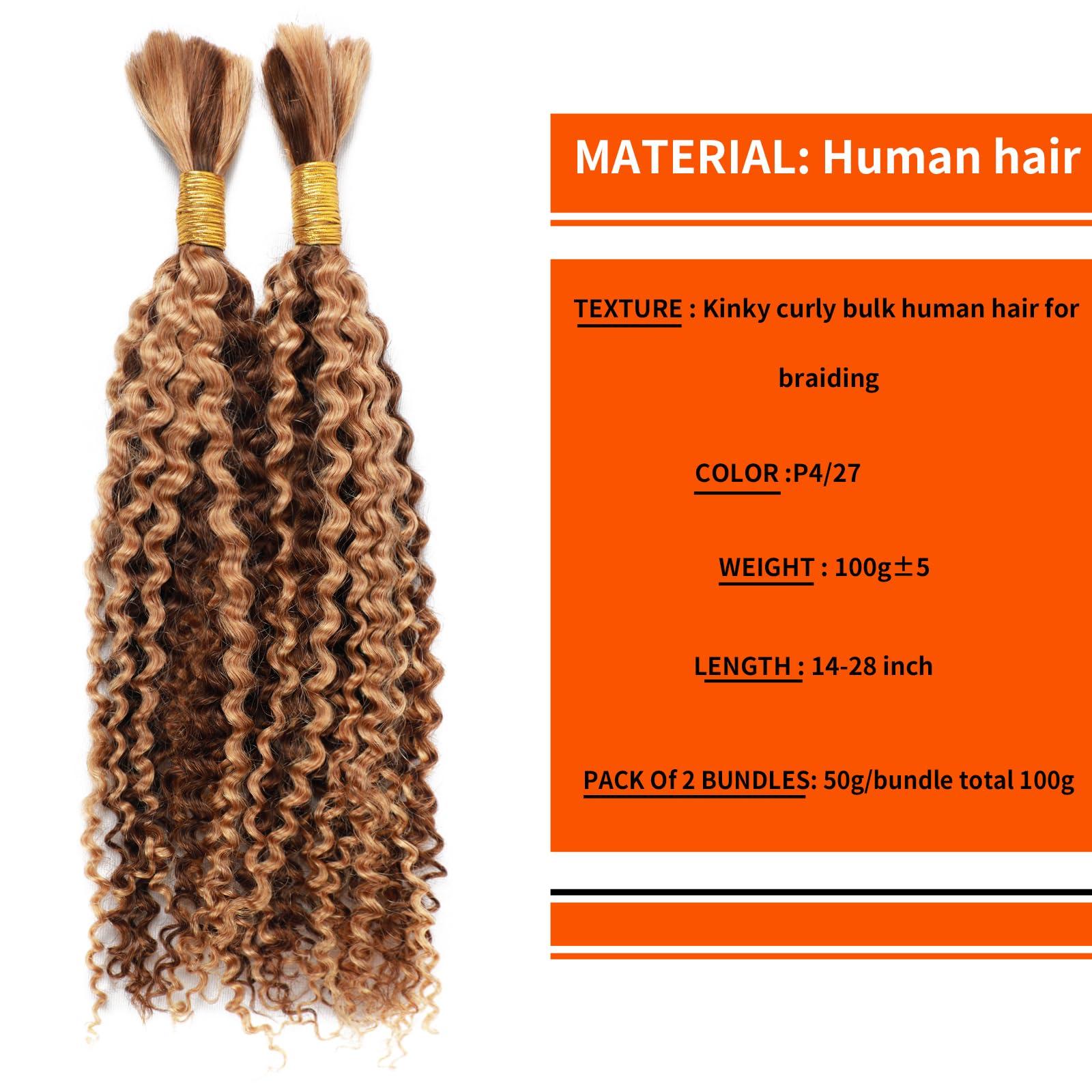 LUCLUEME Bulk Human Hair For Braiding kinky curly 100% Unprocessed Brazilian Virgin Human Hair Extensions Micro Braiding Human Hair 100g with 2 bundles No Weft (16 inch, P4/27)
