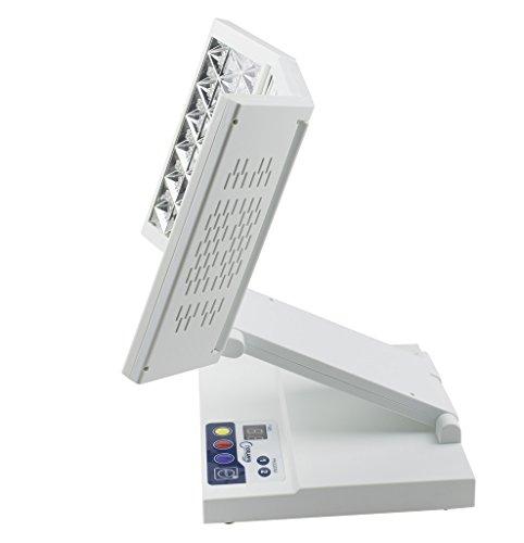 NORLANYA BEAUTY EQUIPMENT NORLANYA LED Light Device for Facial Skin Spa Facial Skin Rejuvenation Machine with 3 Light Colors Red/Blue/Yellow - Table Top