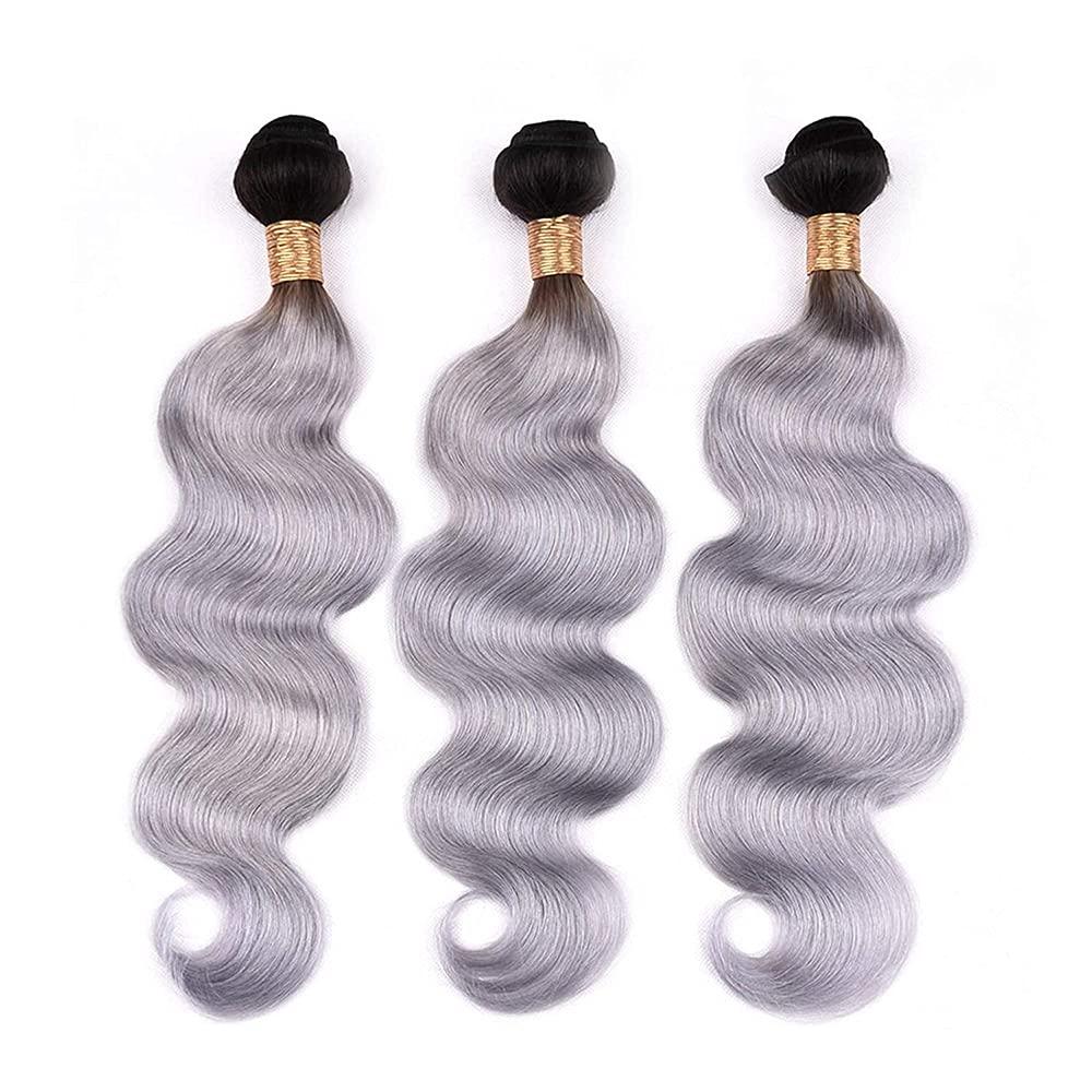 Freiuoke Silver Bundles Ombre Body Wave Human Hair Bundles Brazilian Grey Body Wave Bundles Virgin Hair 3 Bundles 18 20 22 Inch Two Tone Grey Hair Extensions 1B/Grey Bundles