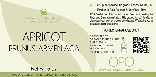 organic pure oil Apricot Kernel Oil - 100% Pure, Organic, Cold Pressed, Unrefined, Raw - Bitter Scent, Therapetutic Premium Grade A Kernal - Perfect for Massage, Skin, Hair & Body Care 16 OZ Quart Bulk