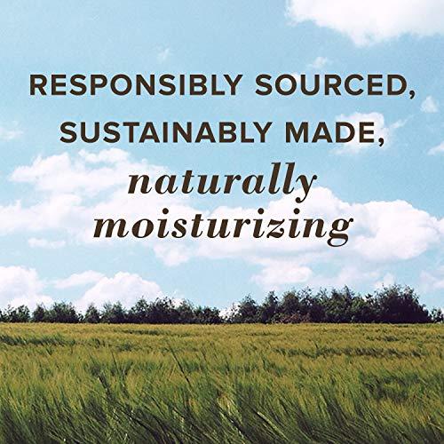 Burt's Bees Burt's Bees 100% Natural Moisturizing Lip Balm, Coconut & Pear and Mango with Beeswax & Fruit Extracts - 2 Tubes, 2 Fl OZ