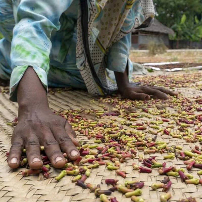 Guangzhou Baiyun District Iwu cross border e-comme Generic 50ml Layden Oil African Traditional Handmade Scalp & Hair Roots Strengthening Hot Oil, Yellow