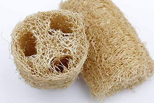 GNR Threesome Ridge Ground Fiber Natural Loofah, 4 Pieces Family Pack