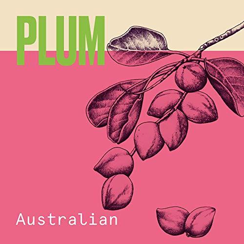 Procter & Gamble Aussie Volume Shampoo 500ml