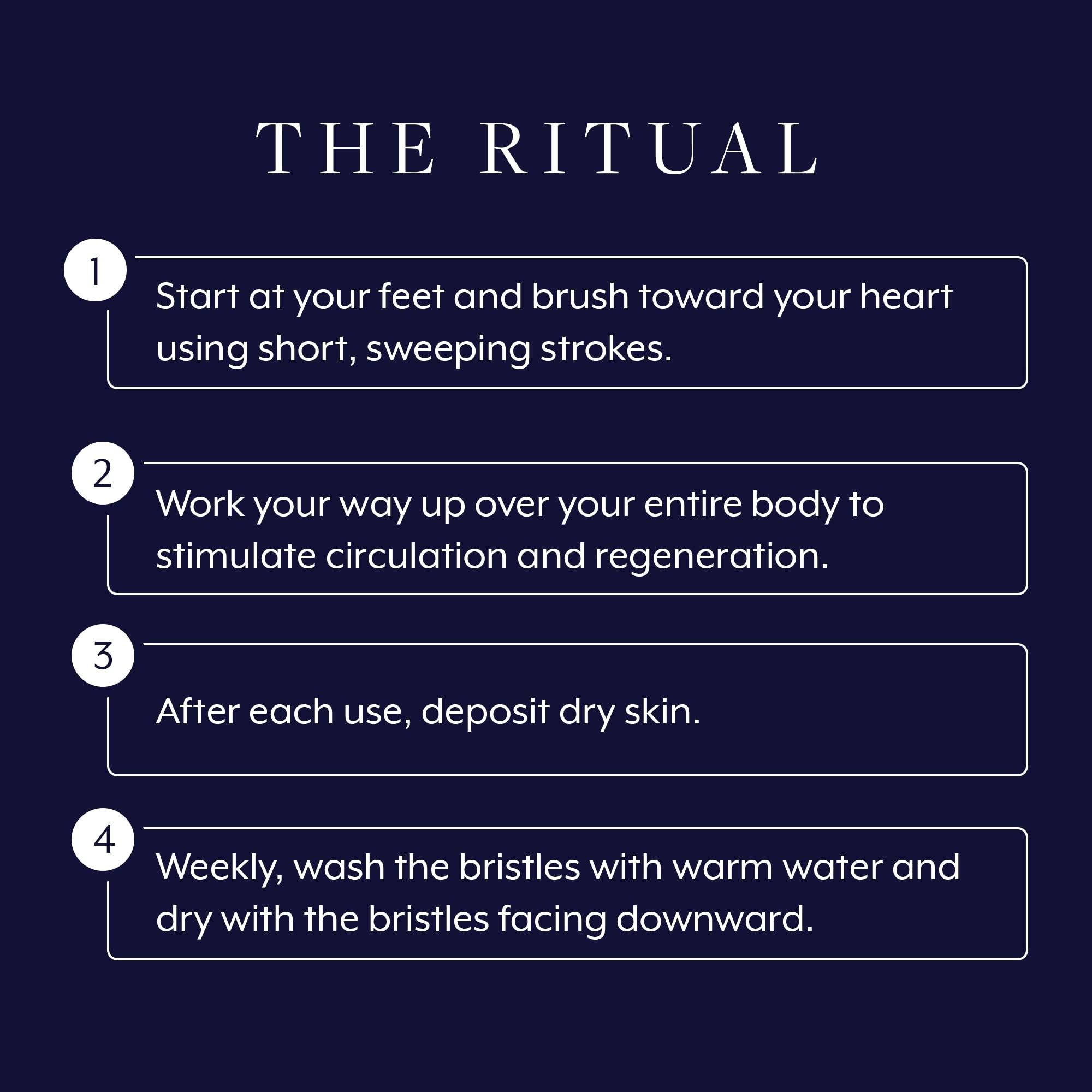 Aromatherapy Associates Aromatherapy Associates Revive Body Brush, Natural Dry Brush to Exfoliate Skin and Boost Circulation, Cellulite Brush Made of Natural and Sustainable Materials (1 Count)