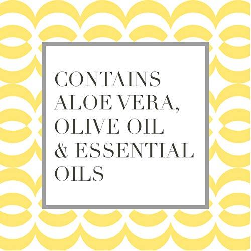 Caldrea Caldrea Hand Wash Soap, Aloe Vera Gel, Olive Oil and Essential Oils to Cleanse and Condition, Sea Salt Neroli Scent, 10.8 oz